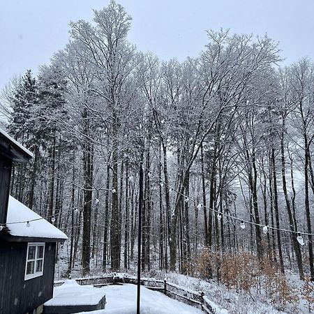 Forest Mountain Escape- Beautiful Mountaintop Escape In Mendon, Vt, 20 Min To Killington 14 To Pico, Home ภายนอก รูปภาพ