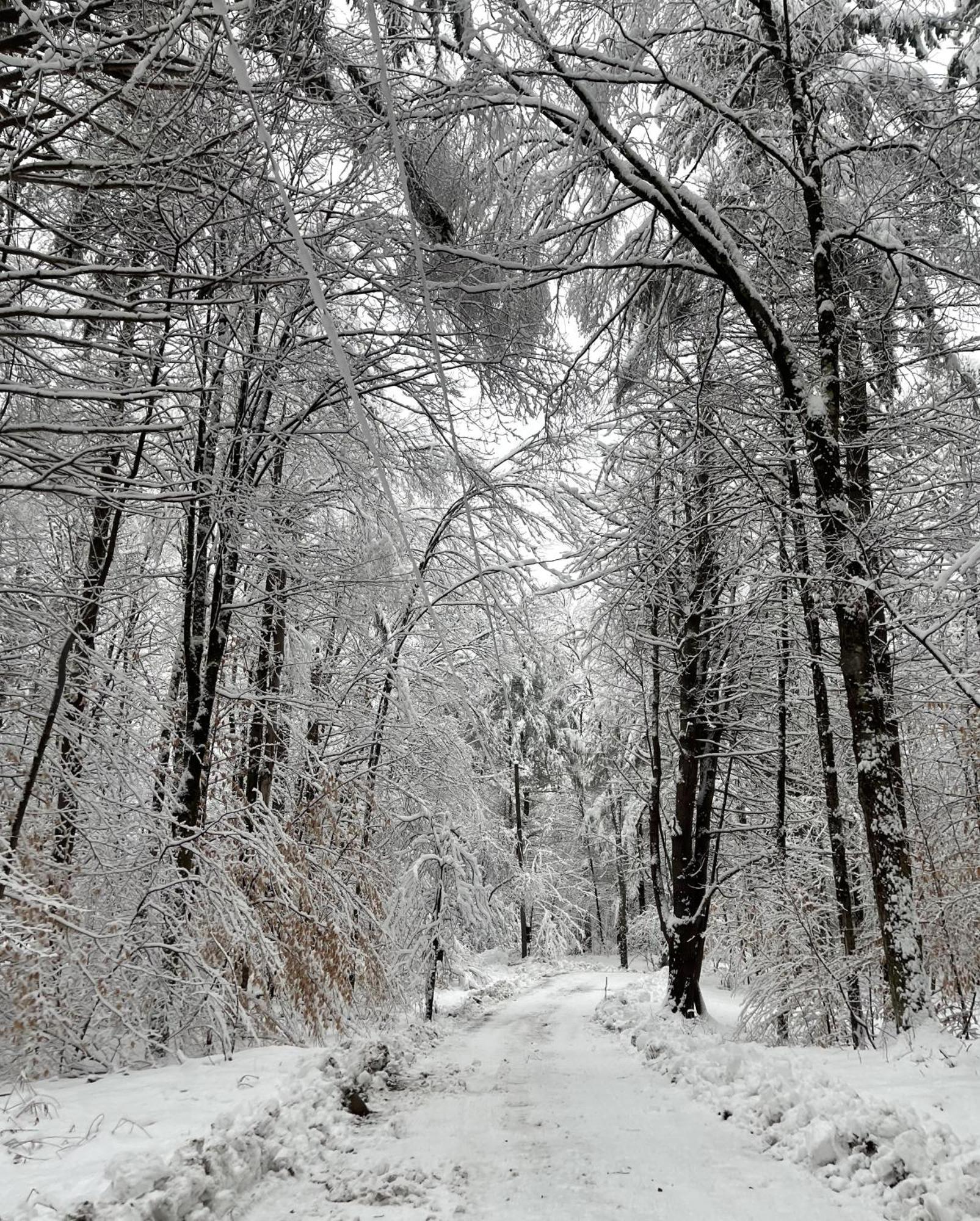 Forest Mountain Escape- Beautiful Mountaintop Escape In Mendon, Vt, 20 Min To Killington 14 To Pico, Home ภายนอก รูปภาพ