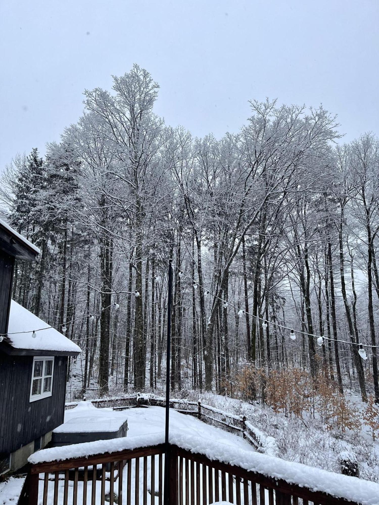 Forest Mountain Escape- Beautiful Mountaintop Escape In Mendon, Vt, 20 Min To Killington 14 To Pico, Home ภายนอก รูปภาพ