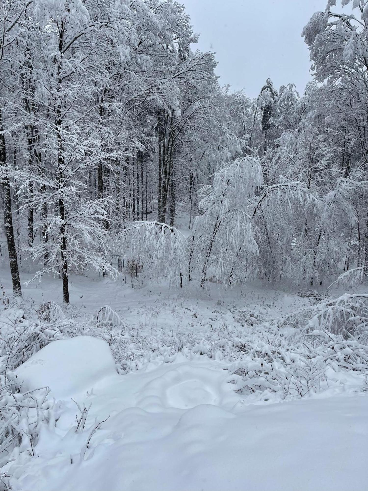 Forest Mountain Escape- Beautiful Mountaintop Escape In Mendon, Vt, 20 Min To Killington 14 To Pico, Home ภายนอก รูปภาพ