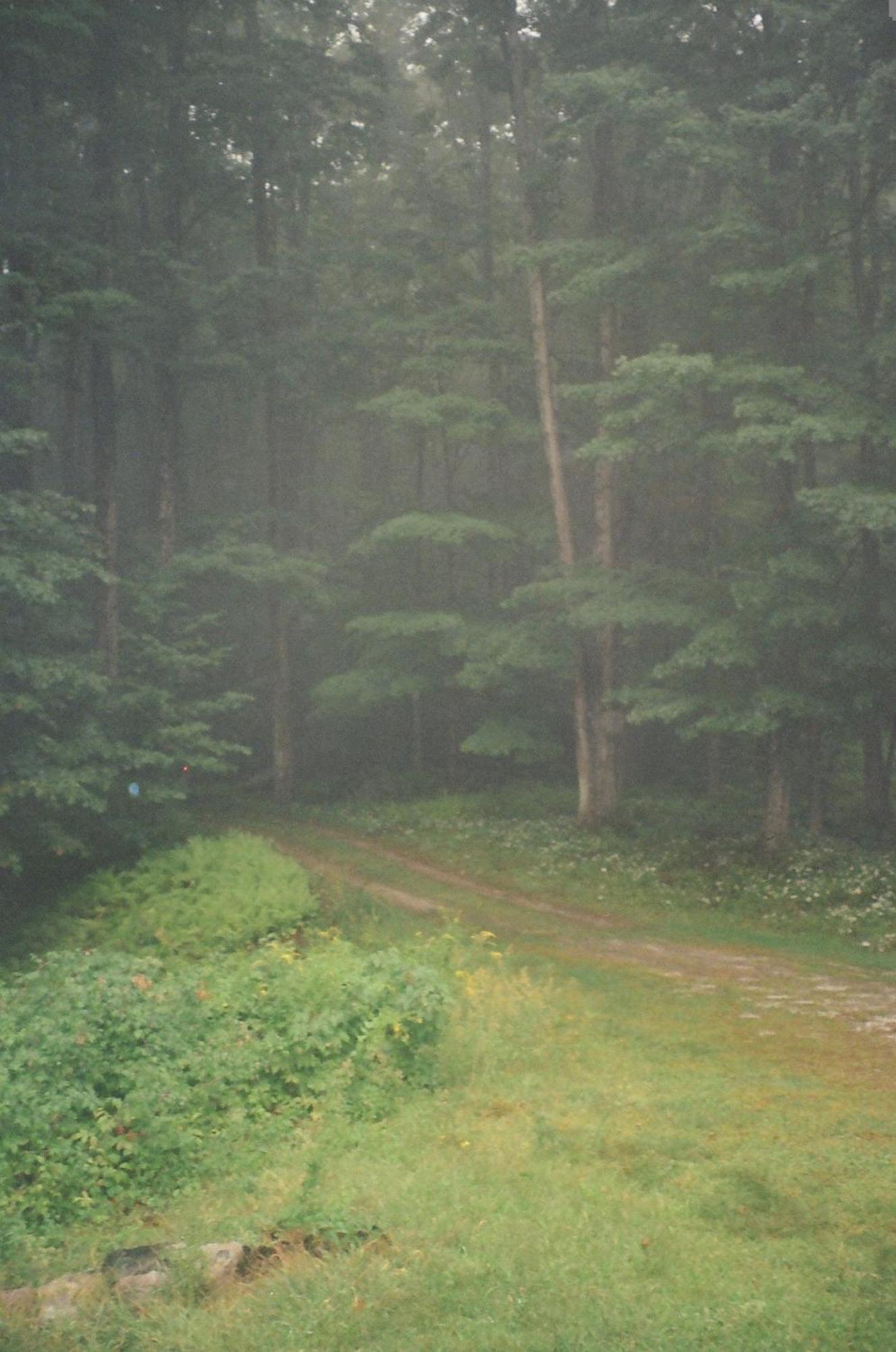 Forest Mountain Escape- Beautiful Mountaintop Escape In Mendon, Vt, 20 Min To Killington 14 To Pico, Home ภายนอก รูปภาพ