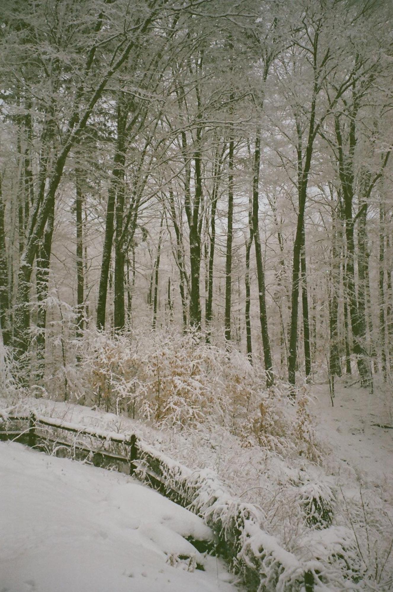 Forest Mountain Escape- Beautiful Mountaintop Escape In Mendon, Vt, 20 Min To Killington 14 To Pico, Home ภายนอก รูปภาพ