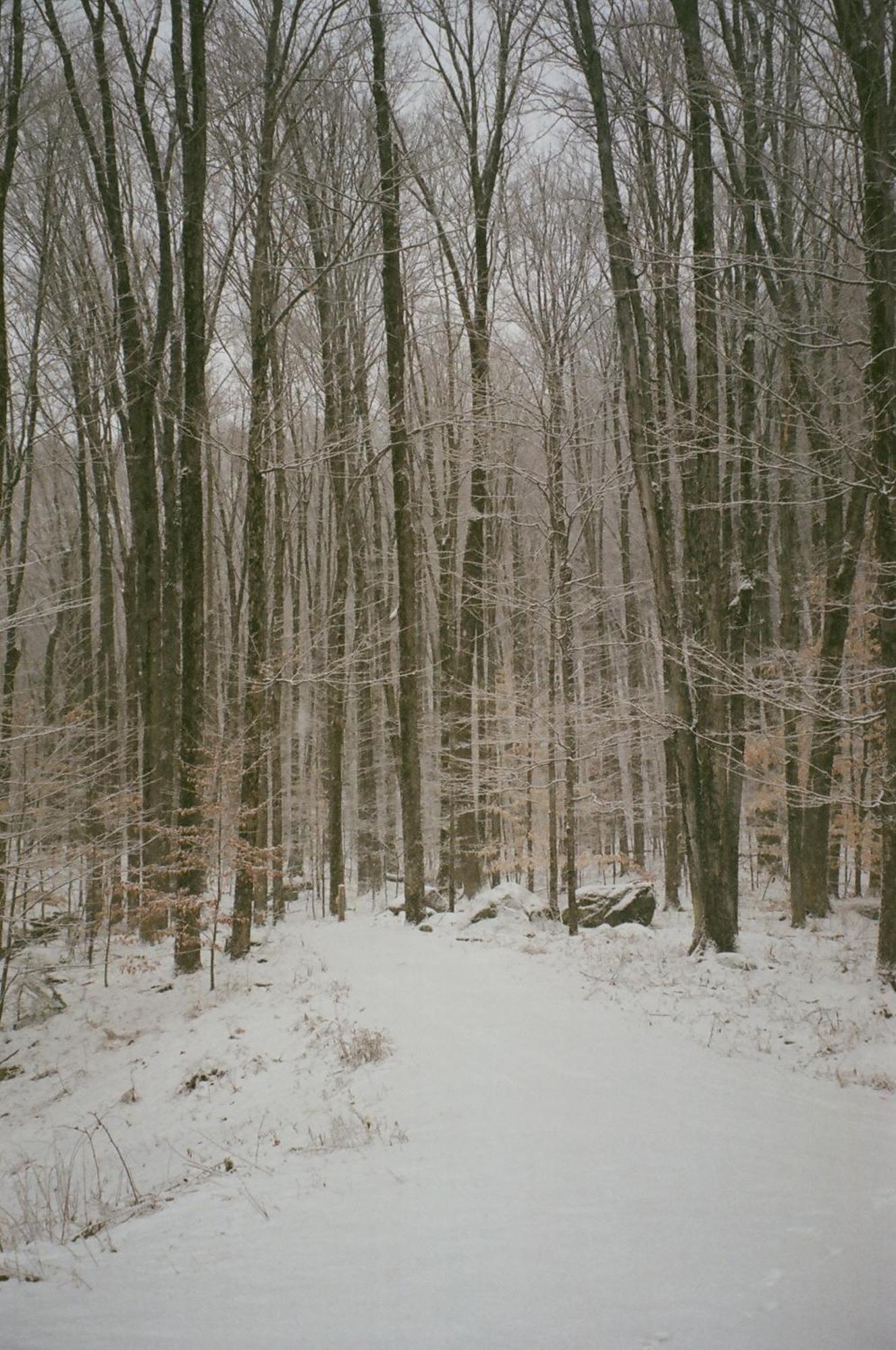 Forest Mountain Escape- Beautiful Mountaintop Escape In Mendon, Vt, 20 Min To Killington 14 To Pico, Home ภายนอก รูปภาพ
